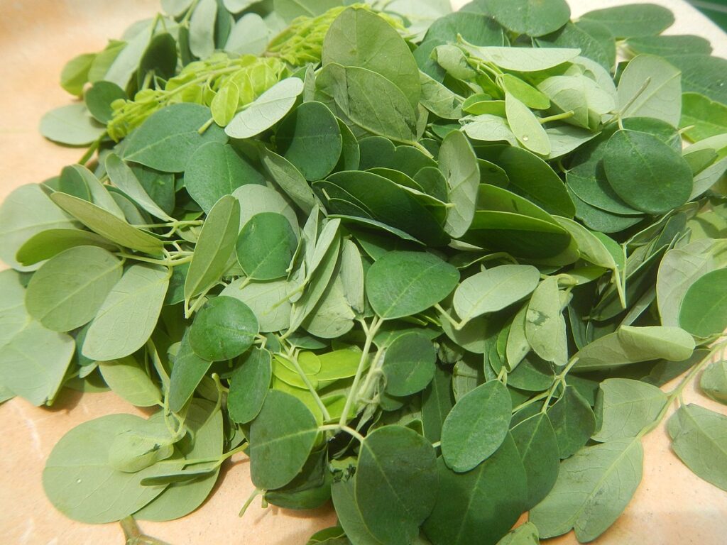 Malunggay (moringa): A Nutrient-Rich Superfood with Amazing Health Benefits